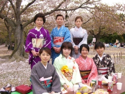 �g�P�U�@�Ԍ��Q