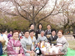 �g�P�U�@�Ԍ��R